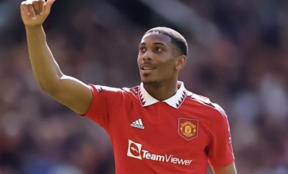 多特蒙德的 多特蒙德的